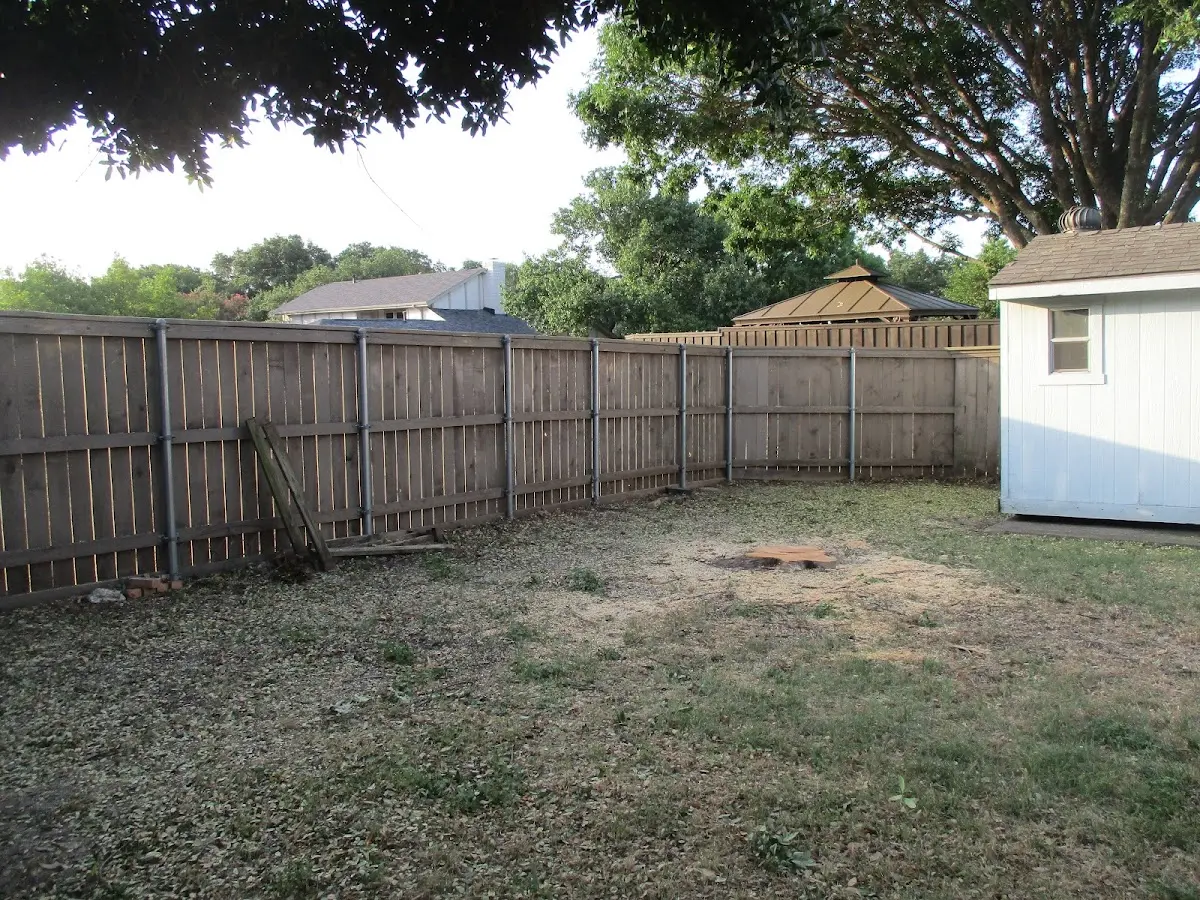 Cleared yard after professional tree removal in Valley Mills